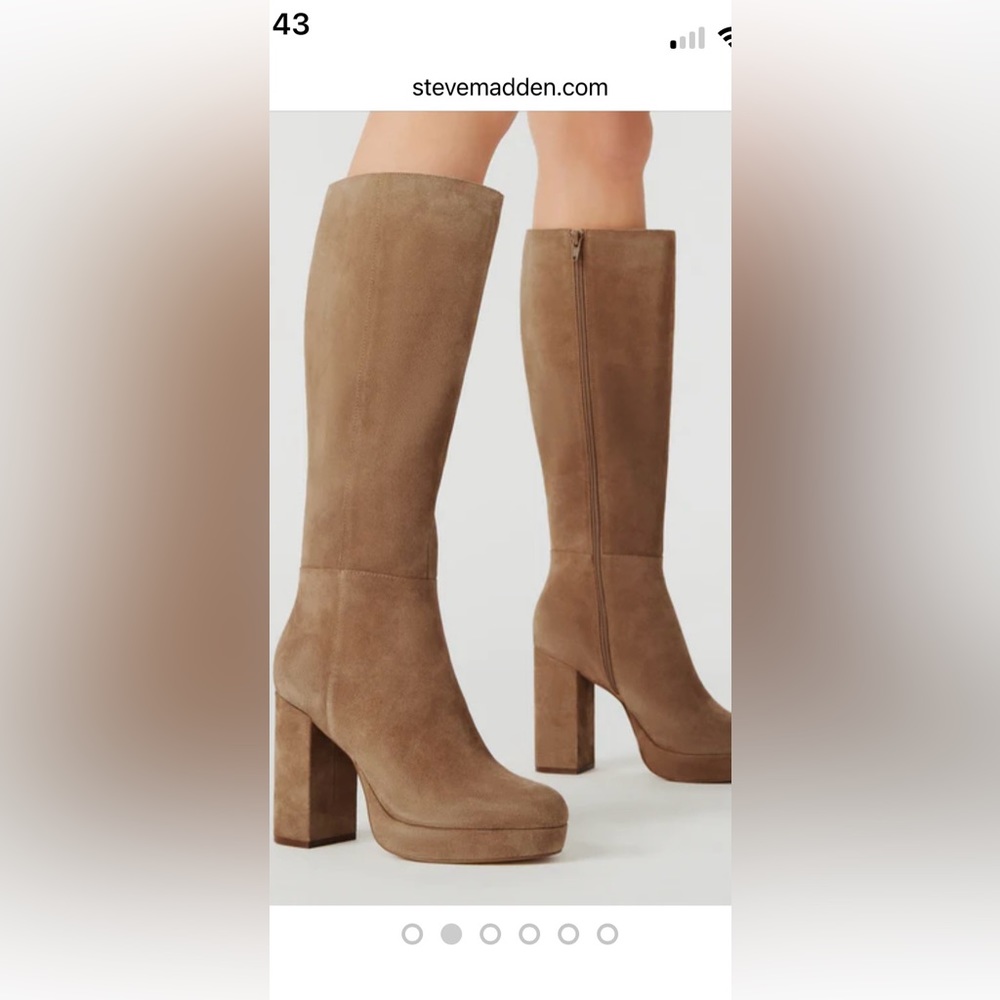 Steve Madden suede boots! Still in box!